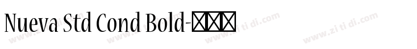 Nueva Std Cond Bold字体转换